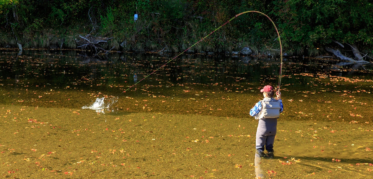 Fliegenfischen im Herbst Deutsche Traun