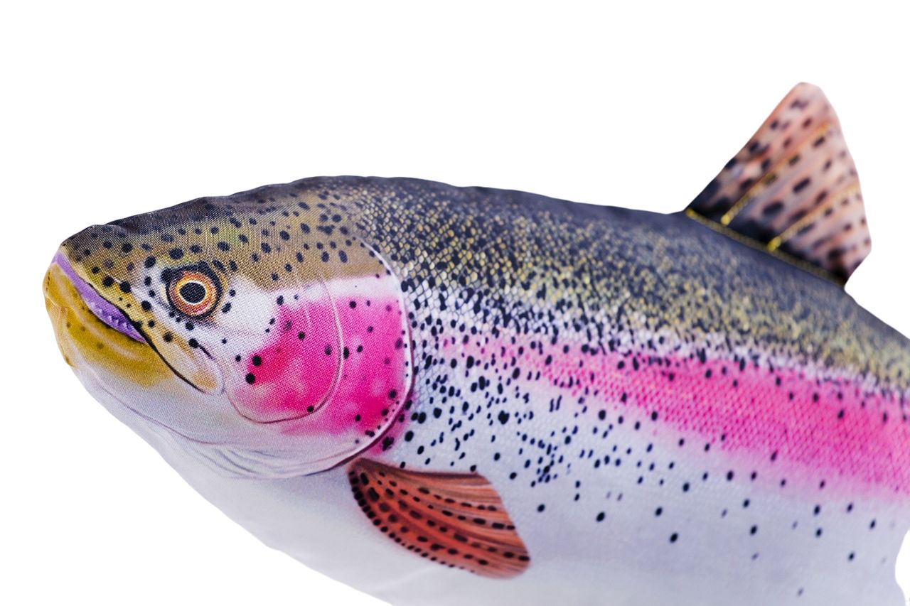 Stofffisch Regenbogenforelle (62 cm)