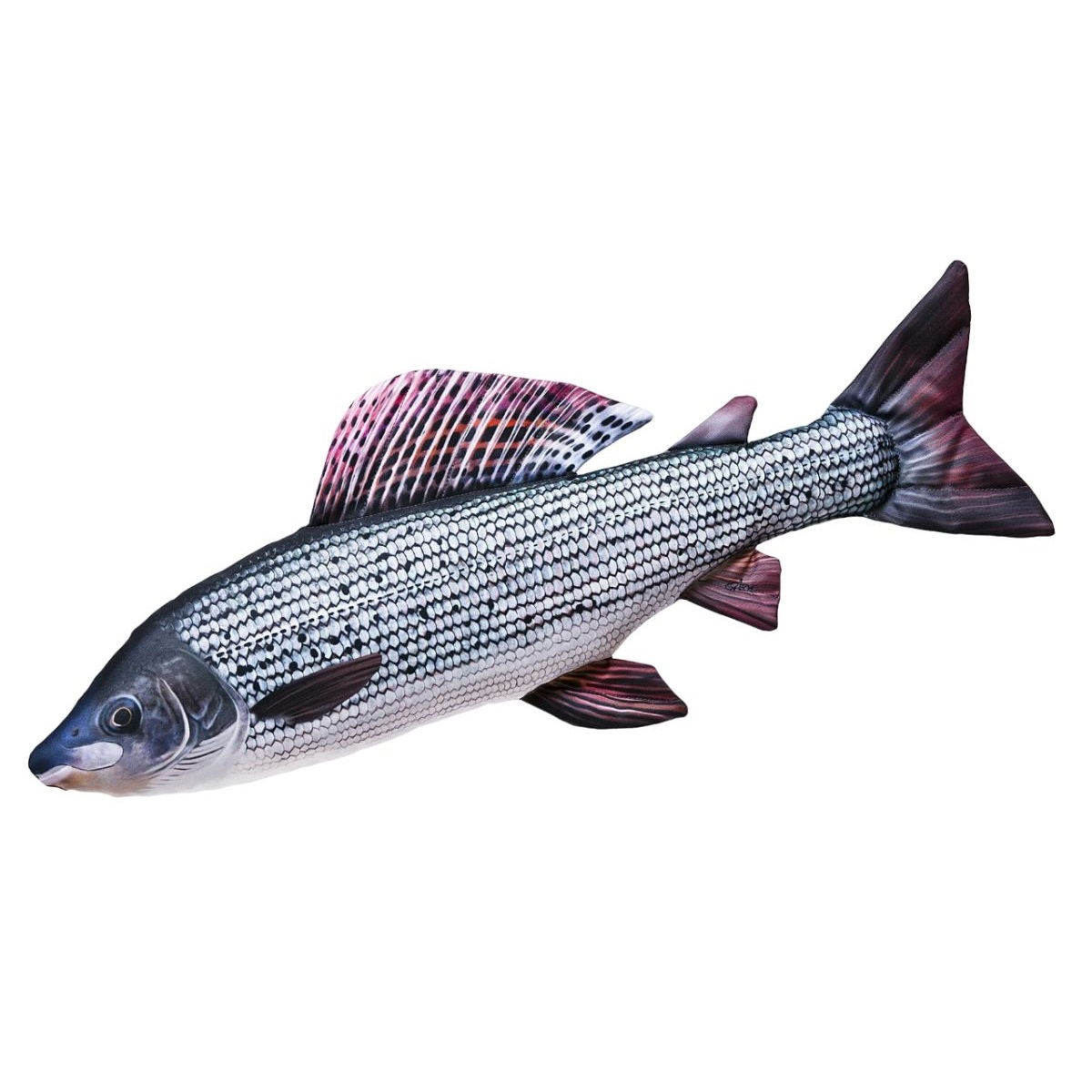 Stofffisch Äsche (65 cm)