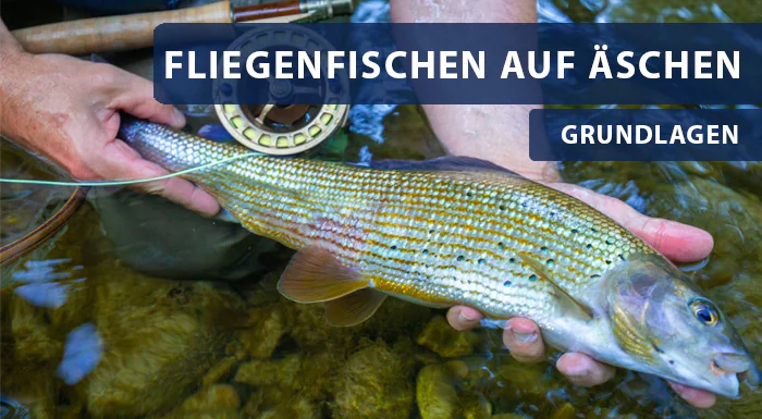 Fliegenfischen auf Äsche - die Basics